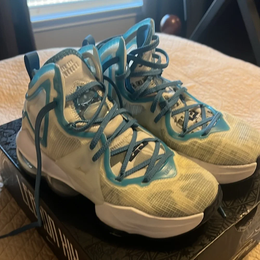 Boys LeBron Shoes
